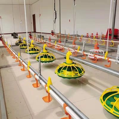 450 kg / h W pełni automatyczna linia do karmienia kurczaków z ocynkowaną rurą zasypową