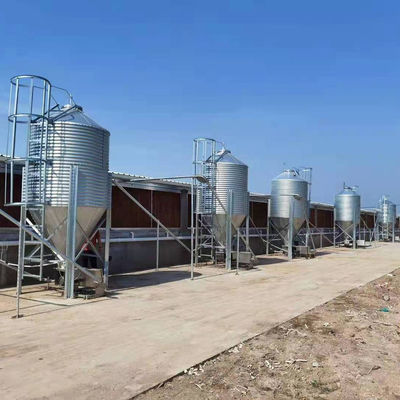 Hodowla zwierząt Pojemniki na paszę dla rolnictwa Ocynkowany silos do przechowywania ziarna