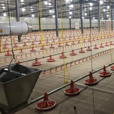 System automatycznego karmienia hodowców / brojlerów 750 W z roczną gwarancją