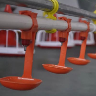 HX Sutek Poidło Z Kubkiem 0.031 KG Karmienie Przepiórek Kurczaka