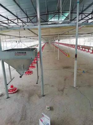 Plastikowy sprzęt do hodowli drobiu 380v 0,75kW Automatyczna maszyna do karmienia drobiu