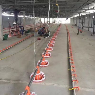 14 kratek Sprzęt do hodowli brojlerów 3 patelnie/3 m Sprzęt do hodowli drobiu brojlerów