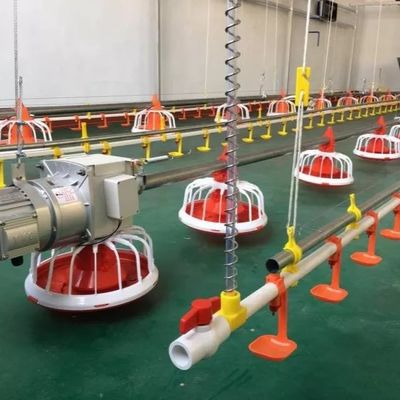 Sprzęt do hodowli drobiu OEM 30 kg Automatyczny podajnik drobiu dla brojlerów