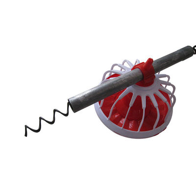 Zastosowanie ślimaka w RPA w automatycznym systemie karmienia