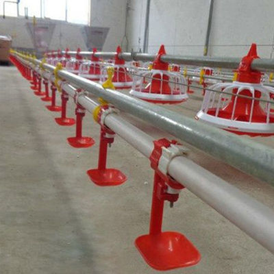 Sprzęt do fermy drobiu 380 V 3 patelnie / 3 m Automatyczny system karmienia patelni