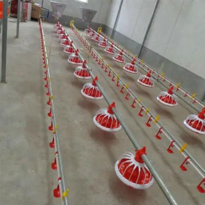 Sprzęt do fermy drobiu 380 V 3 patelnie / 3 m Automatyczny system karmienia patelni