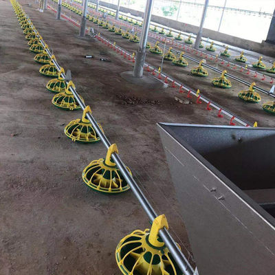 W pełni automatyczna linia do karmienia kurczaków 14/16 przegród 450kg/H