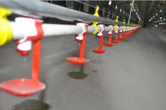 Automatyczny system poidła dla gołębi z kurczaka dla zakładu produkcyjnego