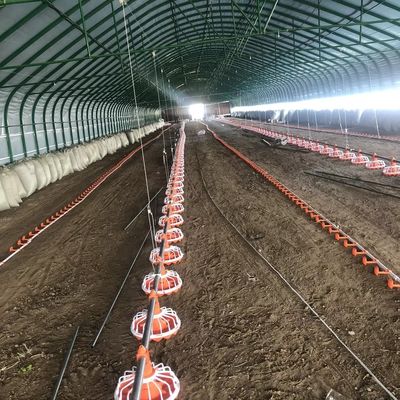 45-60 Wyposażenie fermy drobiu Kurczak 3 miski/3 m System żywienia fermy drobiu