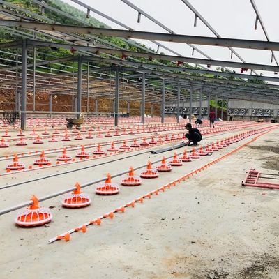 4 Pan / 3m Sprzęt do fermy drobiu 380v Automatyczny system karmienia