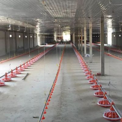 Ocynkowana rura do hodowli drobiu Maszyna do karmienia patelni o średnicy 45 mm