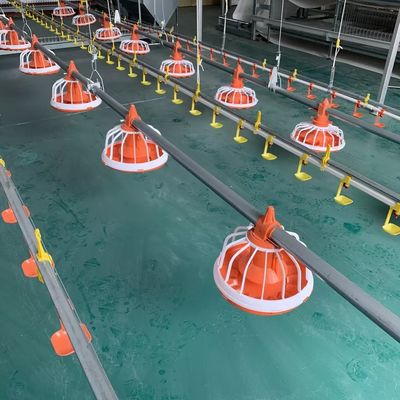 EO Feeding Sprzęt do hodowli drobiu Automatyczny system karmienia drobiu 1 rok gwarancji