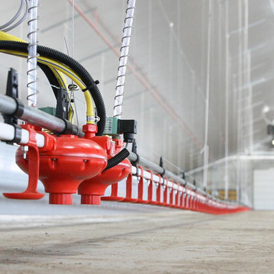 Podajnik i poidło dla drobiu z tworzywa sztucznego Długi czas obsługi