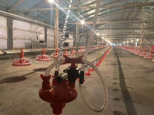 4 Pan / 3m Sprzęt do karmienia kurczaków 380v 0,75kW Z urządzeniem napędowym